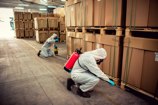 Best Best Pest Control Companies  in Langhorne, PA